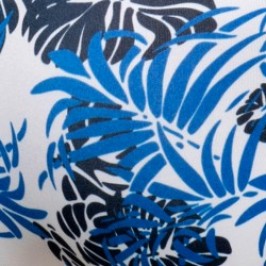 Slip de bain de la marque ADDICTED - Slip de bain Tropicana - bleu - Ref : ADS338 C16
