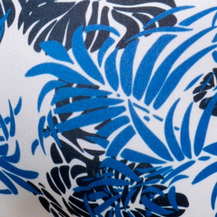 Slip de bain de la marque ADDICTED - Slip de bain Tropicana - bleu - Ref : ADS338 C16