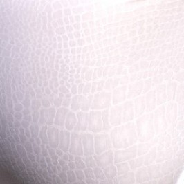 Brief of the brand ADDICTED - Bikini Reptile Edition Limitée - Blanc - Ref : ADP09 C01