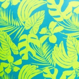 Débardeur de la marque ADDICTED - Débardeur Calatheas - Ref : AD1365 C31