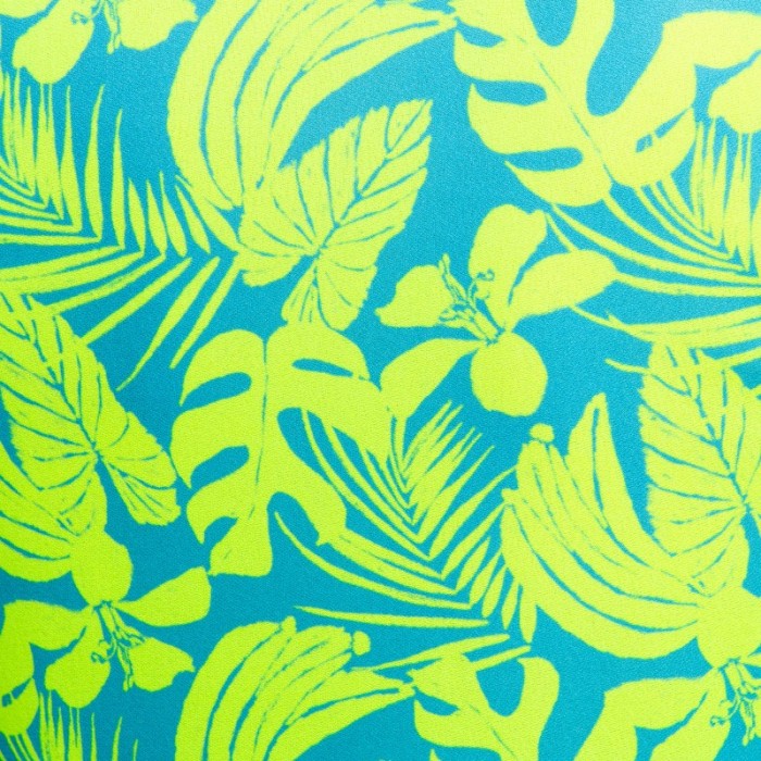 Débardeur de la marque ADDICTED - Débardeur Calatheas - Ref : AD1365 C31