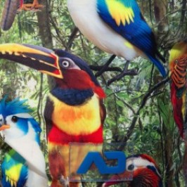 Badehosen der Marke ADDICTED - Short de Bain Exotic Birds - Ref : ADS355 C10