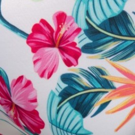 Bagno breve del marchio ADDICTED - Slip de Bain Lilys - Ref : ADS363 C08
