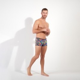 Boxer, shorty de la marque HOM - Boxer Court HOM Temptation Willy - Ref : 403097 P023