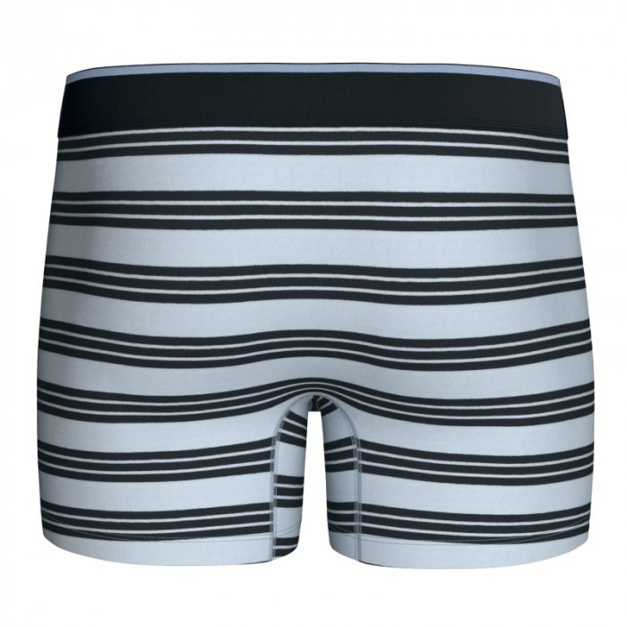 Packs del marchio EDEN PARK - Lot de 2 boxers Eden Park rayés - bleu / marine - Ref : EP1221H95P2 BL137