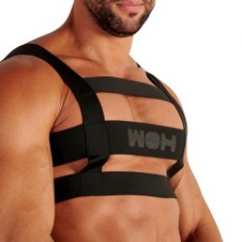 Arnés del Universo Nocturno...