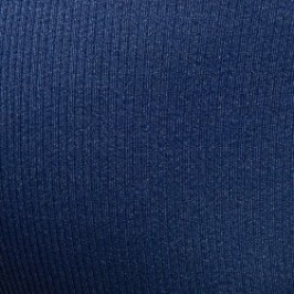 Slip de bain de la marque ADDICTED - Slip de Bain Addicted Basic Rib - Bleu Marine - Ref : ADS386 C09