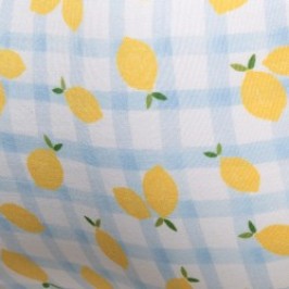 Bath Brief of the brand ADDICTED - Mini Bikini de Bain Addicted Lemon - Bleu - Ref : ADS395 C23