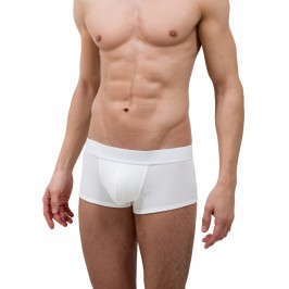 Le Boxer tout blanc - ref :  GFB TOUT BLANC