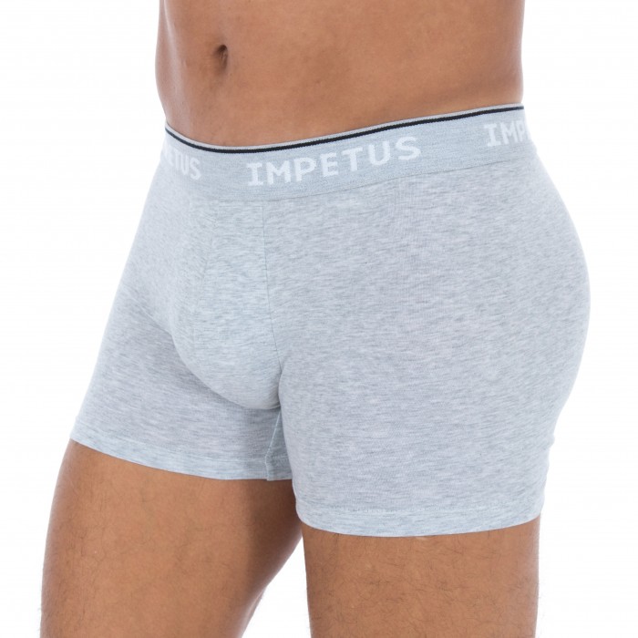  Boxer Cotton Organic gris - IMPETUS GO20024 073 