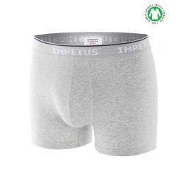 Boxer Cotton Organic Gris - IMPETUS GO20024 073