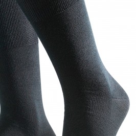  Chaussettes Airpot - noir - FALKE 14435-3000 