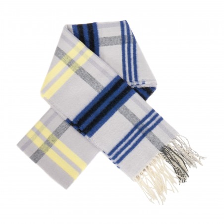 Light grey Plaid scarf