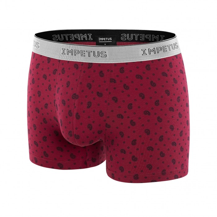 Boxer avec motif - IMPETUS 2144G51-G70