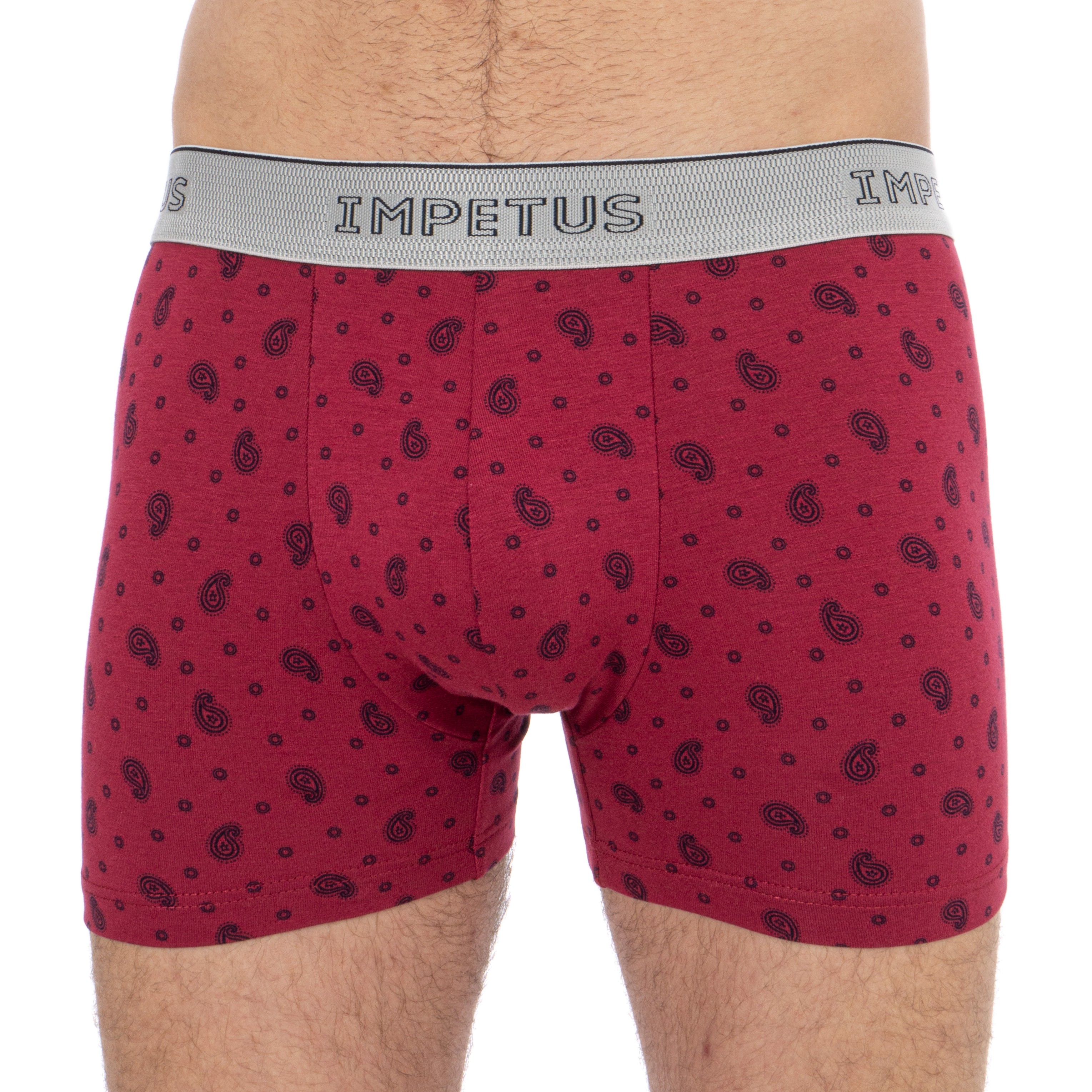 Patterned Impetus Boxer Boxers for man brand Impetus for sale onli