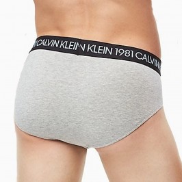  Slip STATEMENT 1981 Bold - Gris - CALVIN KLEIN *NB2049A-080 