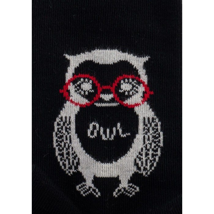  Chaussettes Hibou Anthracite chiné - DAGOBERT À L’ENVERS DAGO41-NOIR 