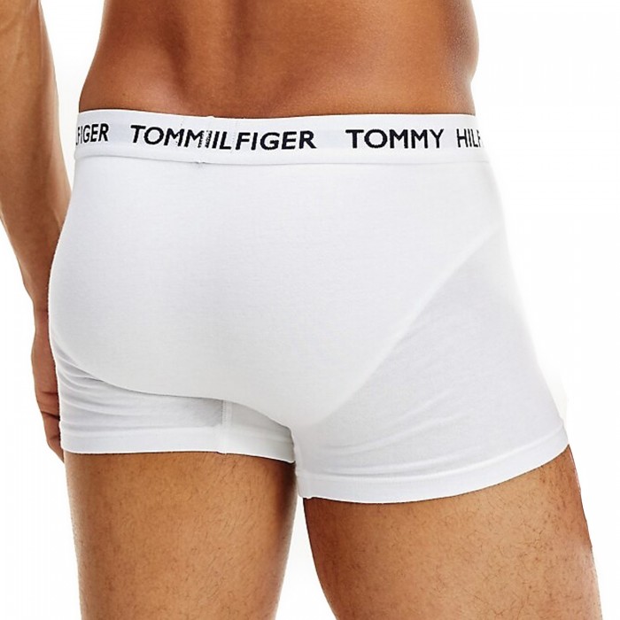  Trunk Tommy coton organic - blanc - TOMMY HILFIGER UM0UM01810-YCD 