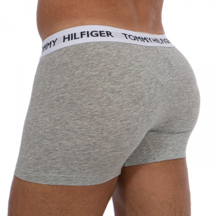  Trunk Tommy coton organic - blanc - TOMMY HILFIGER UM0UM01810-P01 