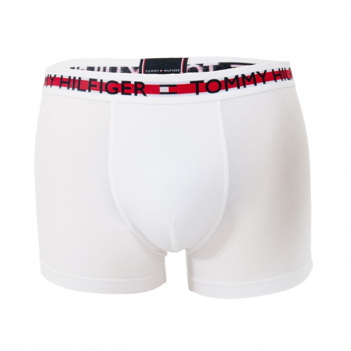 Boxer aderenti in cotone biologico - bianco - TOMMY HILFIGER -UM0UM01892-YCD