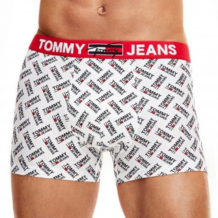 Boxer à motif logo - blanc - TOMMY HILFIGER UM0UM02181-0NR