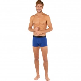  2-pack boxer briefs Brian - HOM 402434-D009 