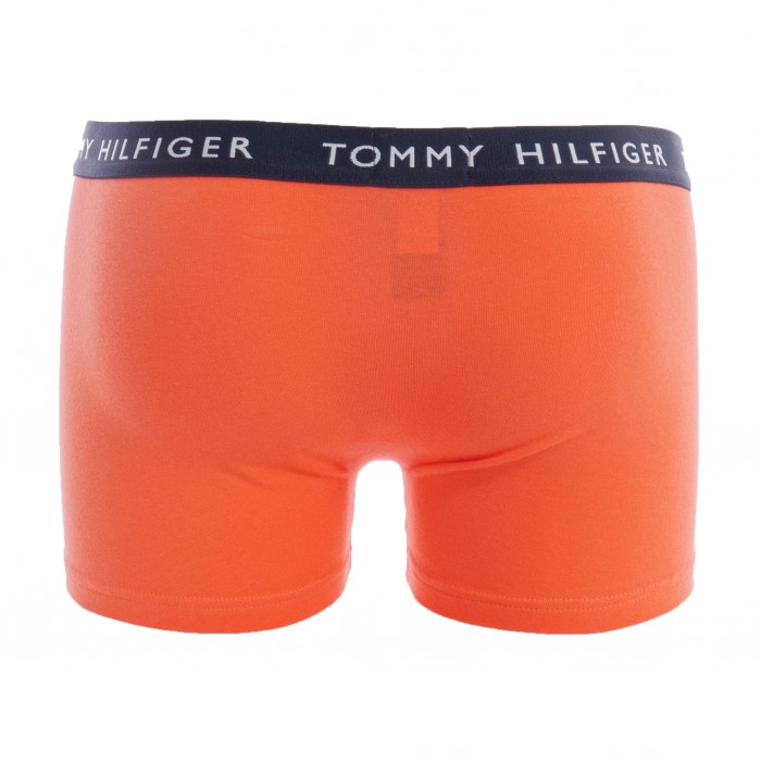  Baule Tommy HILFIGER (Set di 3) - rosa, giallo e verde - TOMMY HILFIGER *UM0UM02203-0TL 