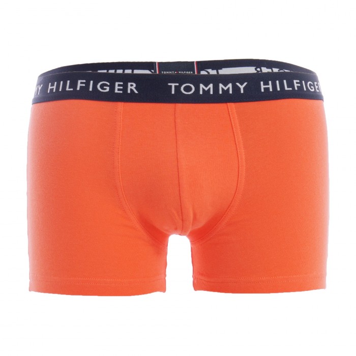  Trunk Tommy HILFIGER (Set of 3) - pink, yellow and green - TOMMY HILFIGER *UM0UM02203-0TL 