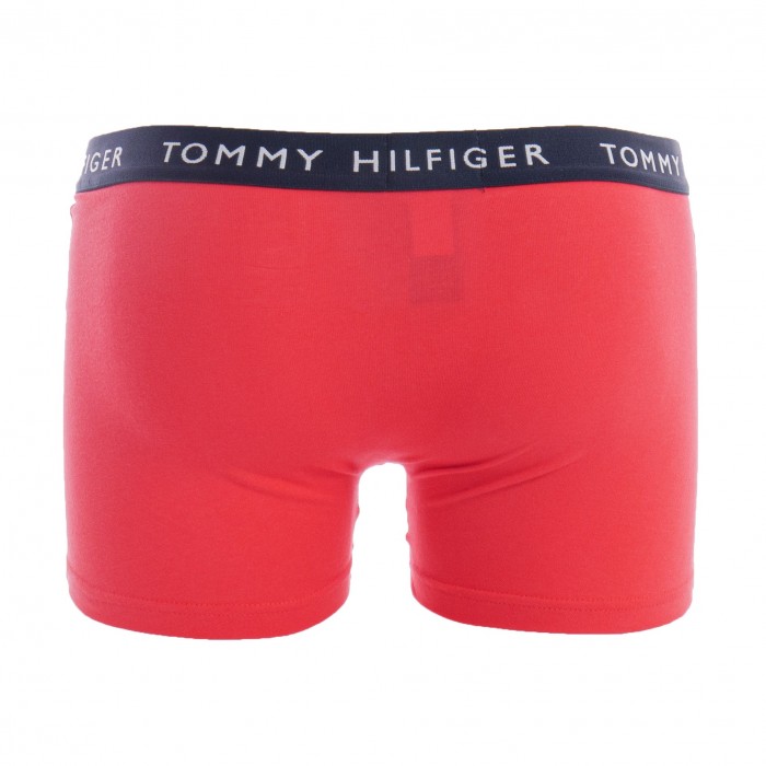  Baule Tommy HILFIGER (Set di 3) - rosa, giallo e verde - TOMMY HILFIGER *UM0UM02203-0TL 