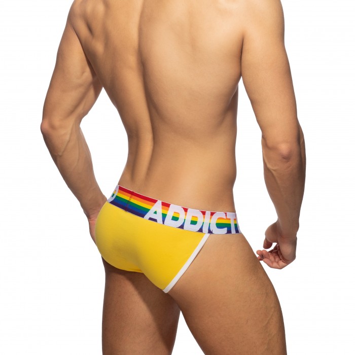  Bikini Rainbow - Lot de 6 - ADDICTED AD1146P 