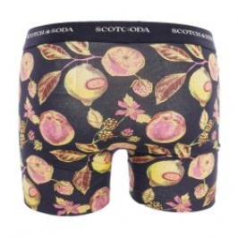 Shorts Boxer, Shorty de la marca SCOTCH & SODA - Pack de 2 Boxers Iconic de algodón orgánico Scotch&Soda - Negro - Ref : 7012234