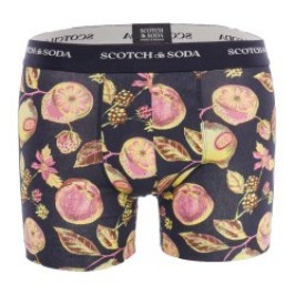 Shorts Boxer, Shorty de la marca SCOTCH & SODA - Pack de 2 Boxers Iconic de algodón orgánico Scotch&Soda - Negro - Ref : 7012234