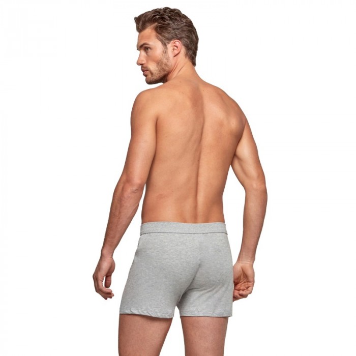 Boxer del marchio IMPETUS - Slip a discesa in cotone puro - grigio - Ref : 1271001 507