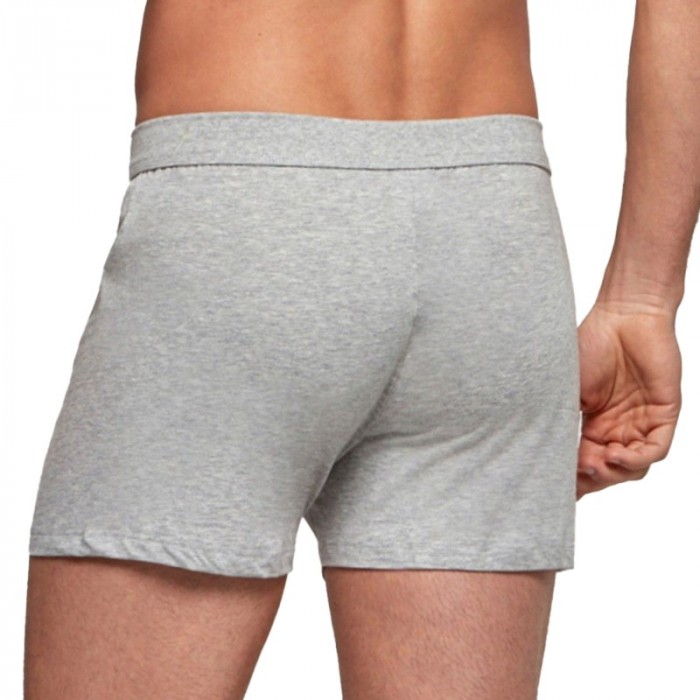 Boxer del marchio IMPETUS - Slip a discesa in cotone puro - grigio - Ref : 1271001 507