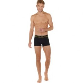 Pantaloncini boxer, Shorty del marchio HOM - Confezione da 2 boxer HOM Ivano - Ref : 402664 D006