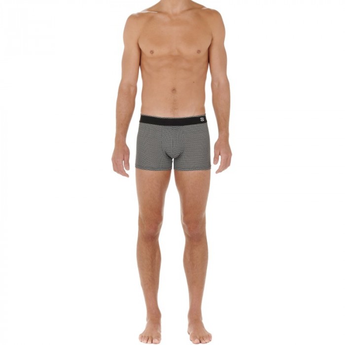 Boxer shorts, Shorty of the brand HOM - Boxer Comfort HOM Silvester - Ref : 402630 I004