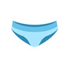 Swim Briefs