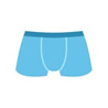 Swim Trunks